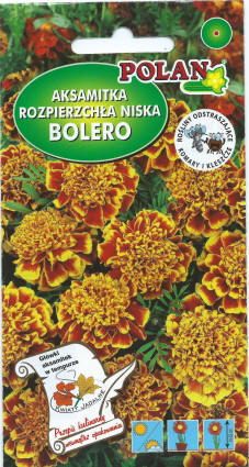 PLANTICO semi di piante semi di ortaggi semi di fiori