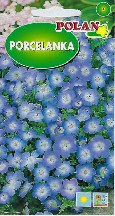 PLANTICO semi di piante semi di ortaggi semi di fiori