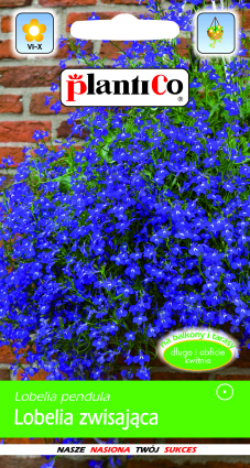 PLANTICO semi di piante semi di ortaggi semi di fiori