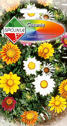 PLANTICO semi di piante semi di ortaggi semi di fiori